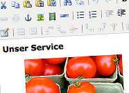 CMS-content-management-systeme Typo3 und Contenido